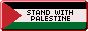 stand with palestine button