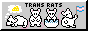 four pixel art rats with text 'trans rats'